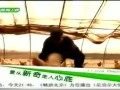 有多远走多远-20110425-法兰西大餐的诱惑