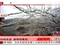 贵阳持续低温 春寒现雾凇